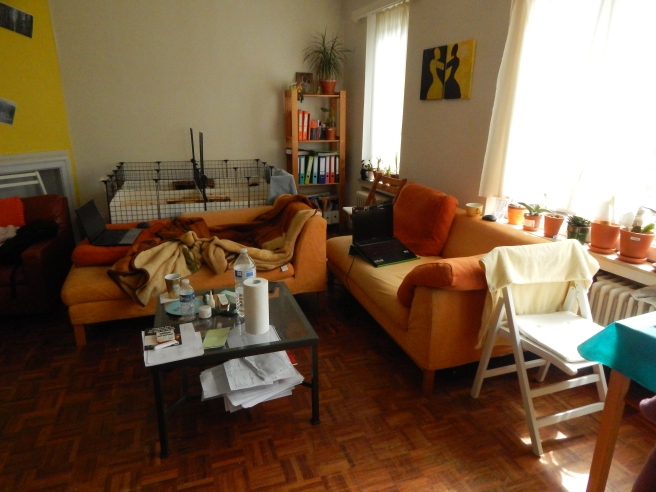 jurnal_belgia_living_room